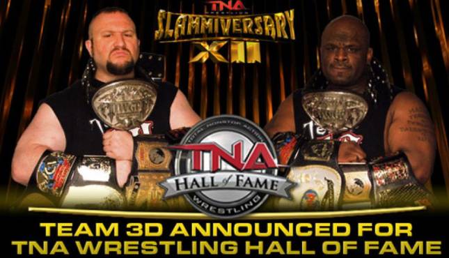 Check Out The TNA Hall of Fame Video For Team 3D | 411MANIA