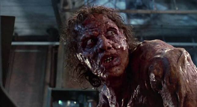 Shudder The Fly