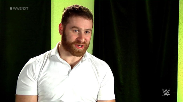 Sami Zayn