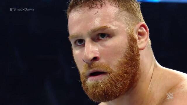 Sami Zayn