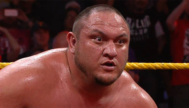 Samoa Joe NXT 81016