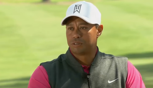 Tiger Woods Strikes Deal, Enters Guilty Plea at DUI Hearing | 411MANIA