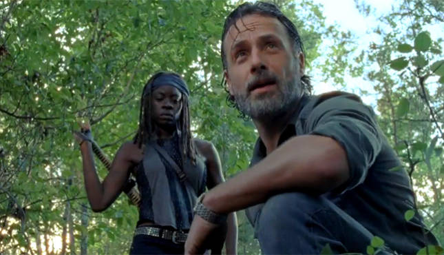 The Walking Dead Rick Michonne