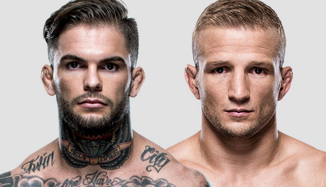 TJ Dillashaw Cody Garbrandt UFC 217