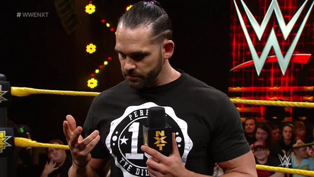 Tye Dillinger, Pro Wrestling