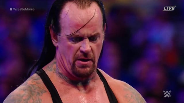 Undertaker WrestleMania 33