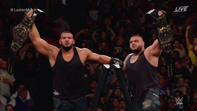 Authors of Pain NXT WWE Main Event