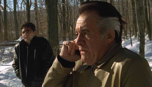 Re Watch The Sopranos Pine Barrens 411MANIA