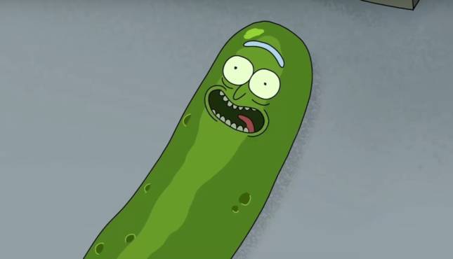 Pickle Rick Rick and Morty