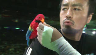 NJPW G1 Climax 27 Finals