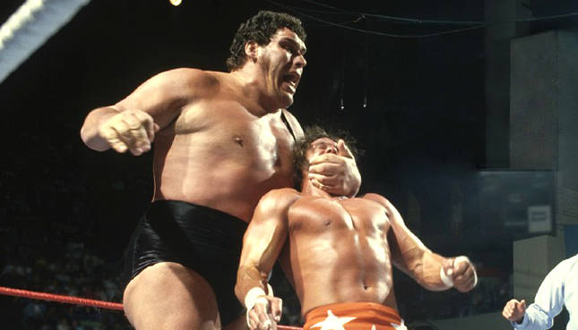 Andre the Giant Randy Savage