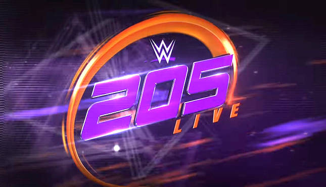 205 Live Logo | atelier-yuwa.ciao.jp