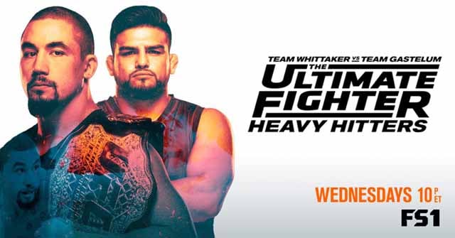 Ultimate Fighter 28 Heavy Hitters