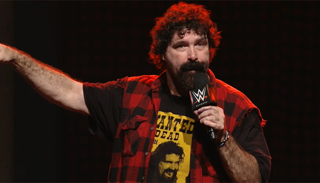 Mick Foley 20 Years in Hell, Tag Me In United