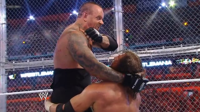 Triple H vs. The Undertaker – WrestleMania 28 WWE Hell