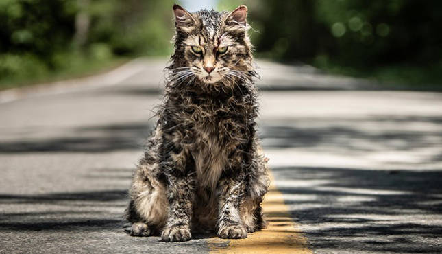 PET SEMATARY