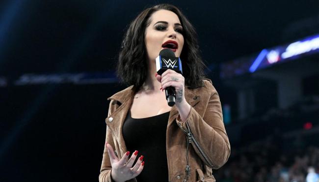 I Made a Terrible Joke and I'm Sorry” – When Triple H Regretted Joking  About the S*x Life of Paige - The SportsRush