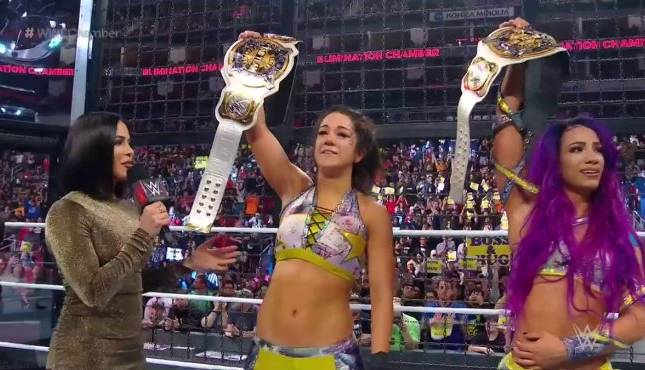 Sasha Banks Bayley Elimination Chamber