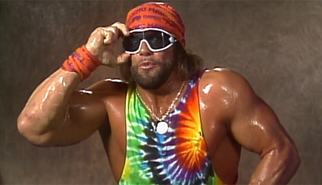 Insane Plan: Macho Man Randy Savage Tribute