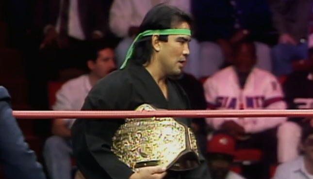 ricky steamboat titles