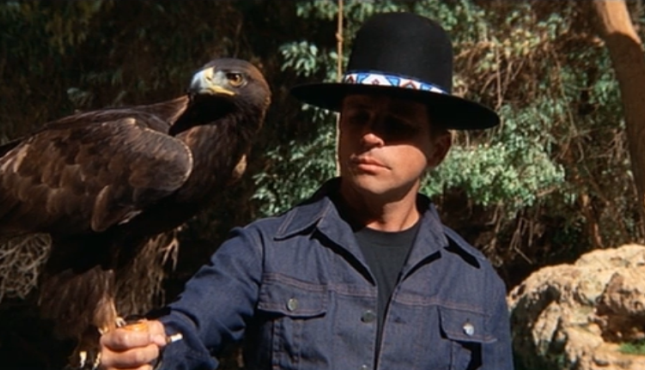 The Trial of Billy Jack