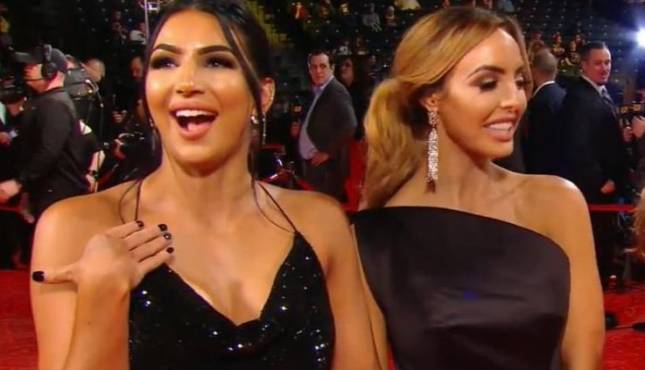 IIconics WWE Hall of Fame The IInspiration