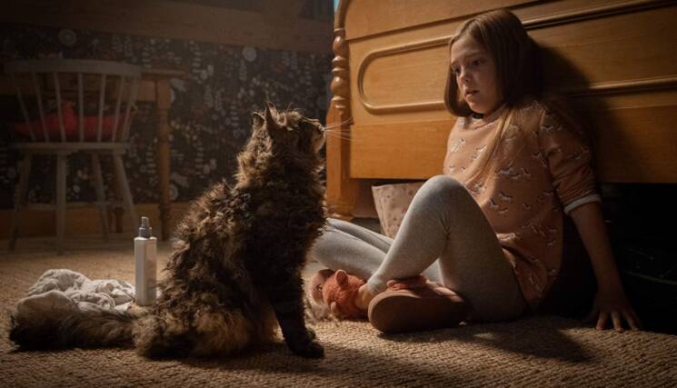 Pet Sematary