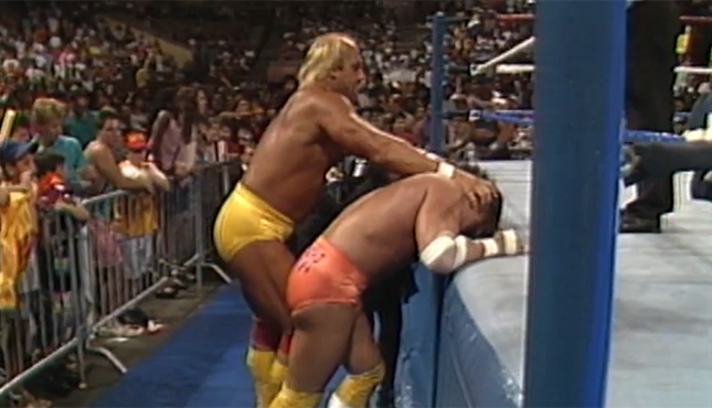 Hulk Hogan Randy Savage Sensational SHerri