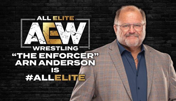 Arn Anderson AEW