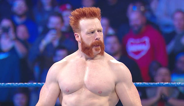 wwe sheamus in ring