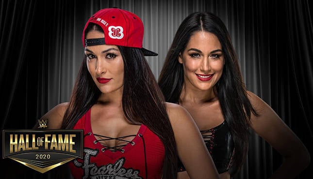 The Bella Twins WWE Hall of Fame, Biography