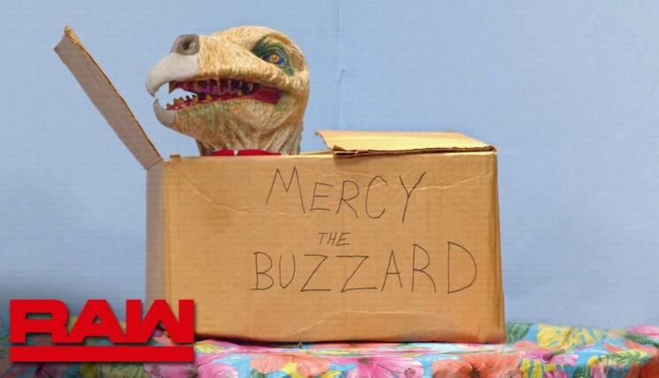 Mercy the Buzzard Bray Wyatt WWE