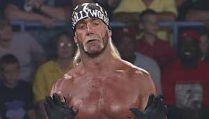 Hulk Hogan nWo