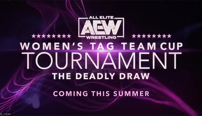 Women's Tag Team Cup Tournament