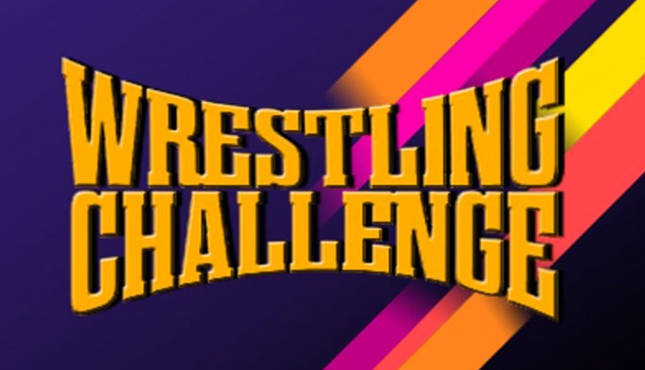 WWE WWF Wrestling Challenge
