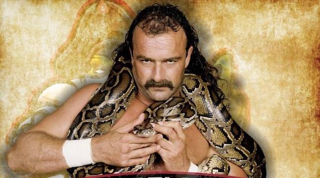 Jake Roberts