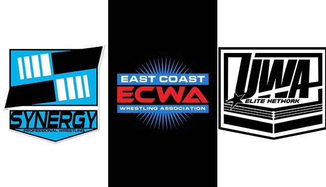 Synergy ECWA UWA Elite