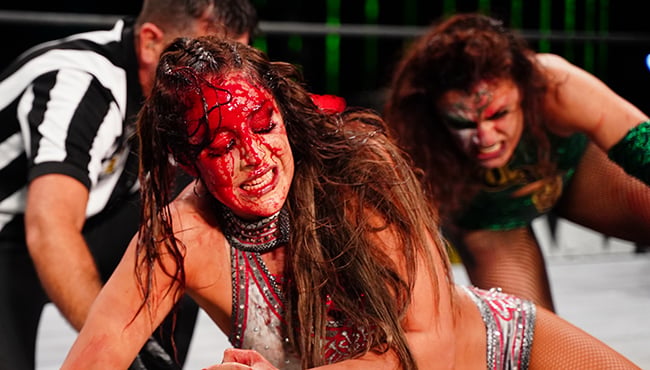 Jerry Lynn On Britt Baker vs. Thunder Rosa Lights Out Match On AEW Dynamite, What He Told Them Before Match - Vimarsana News