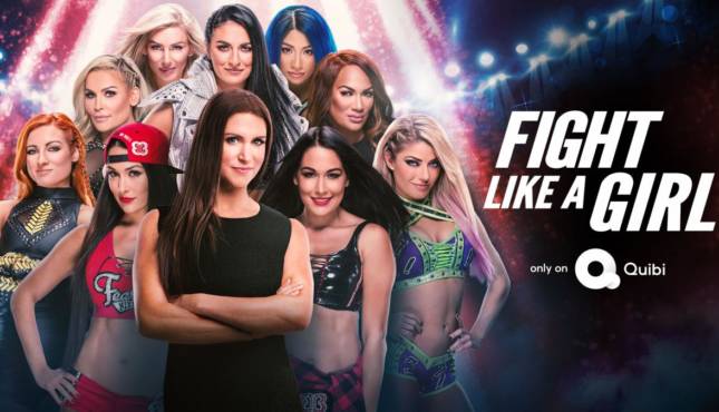 WWE Fight Like A Girl