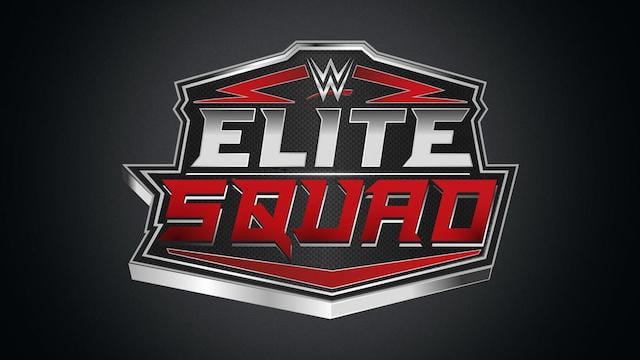 WWE Mattel Elite Squad