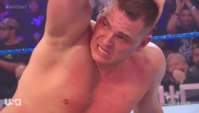 WALTER WWE NXT GUNTHER