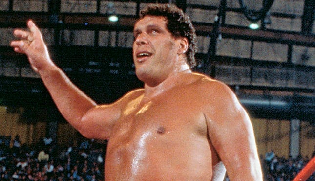 WrestleMania 2 Andre the Giant