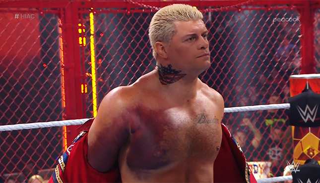 Cody Rhodes WWE Hell in a Cell