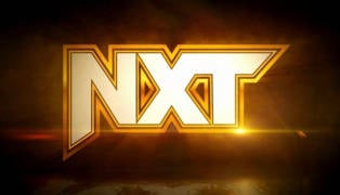 WWE NXT New Logo, AJPW