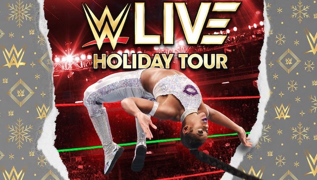 wwe holiday tour 2023 roster