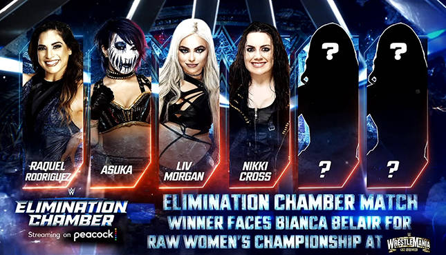 WWE Elimination Chamber Women's
