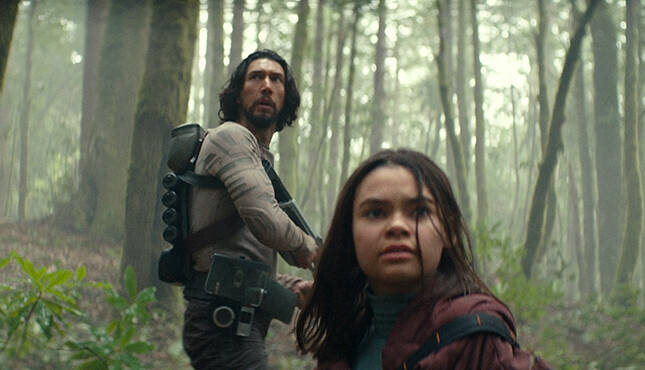 Adam Driver Ariana Greenblatt 65
