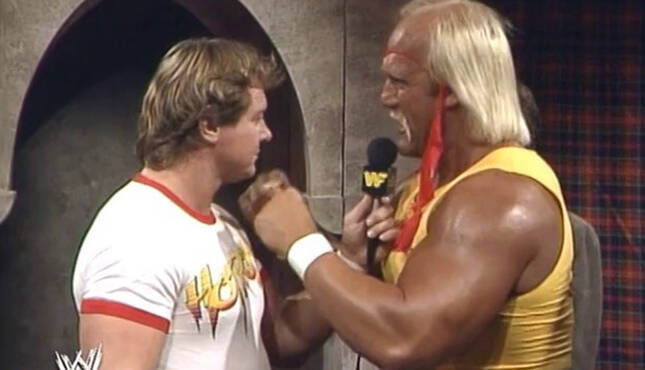 Hulk Hogan Roddy Piper WWE