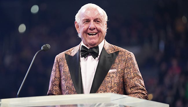 ric flair official website