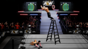 AEW: Fight Forever Ladder Match